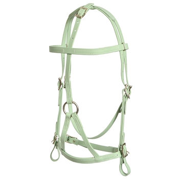 ****PHOTO SAMPLE*** $30 Sage Green War Bridle Headstall - Horse Size
