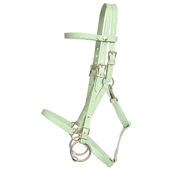 ****PHOTO SAMPLE*** $30 Sage Green Beta Biothane Quick Change Halter Bridle Headstall - Horse Size
