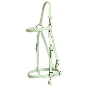 ****PHOTO SAMPLE*** $20 Sage Green Beta Biothane Mule Bridle Headstall with noseband - Standard Mule/Horse Size