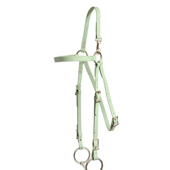 ****PHOTO SAMPLE*** $15 Sage Green Beta Biothane Mule Bridle Headstall - Standard Mule/Horse Size