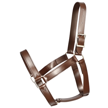 ****PHOTO SAMPLE*** $30 Brown Better Than Leather Heavy Duty Draft Horse Halter