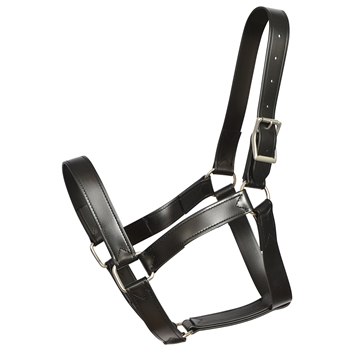****PHOTO SAMPLE*** $30 Black Better Than Leather Heavy Duty Draft Horse Halter 