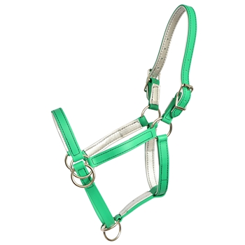 ****PHOTO SAMPLE*** $30 Kelly Green Beta Biothane with Silver Metallic Leather Padding Pack Horse Halter - Horse Size
