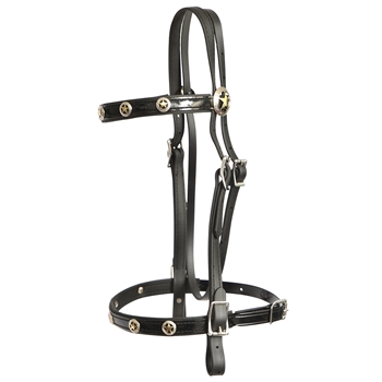 ****PHOTO SAMPLE*** $30 Black Beta Biothane with Texas Star Conchos English Bridle Headstall - Horse Size