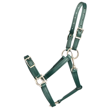 ****PHOTO SAMPLE*** $25 Hunter Green Beta Biothane Buckle Nose Halter - Large Pony Size