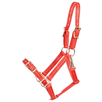 ****PHOTO SAMPLE*** $25 Red Beta Biothane Buckle Nose Halter - Large Pony Size