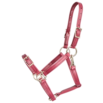 ****PHOTO SAMPLE*** $25 Wine/Maroon Beta Biothane Buckle Nose Halter - Large Pony Size