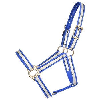 ****PHOTO SAMPLE*** $15 Blue Reflective Beta Biothane Foal Halter