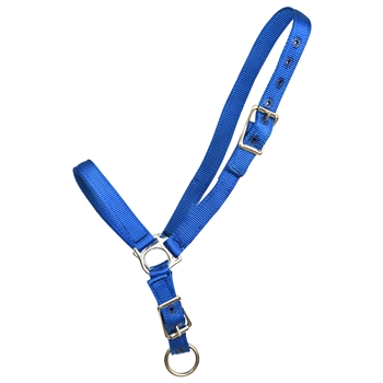 ****PHOTO SAMPLE*** $15 Royal Blue Nylon Grooming Halter - Horse Size