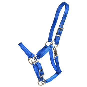 ****PHOTO SAMPLE*** $10 Royal Blue Nylon Foal Halter with adjustable chin and throatlatch snap