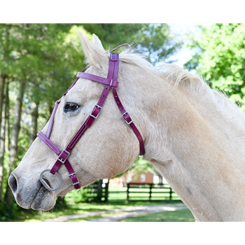 MEDIEVAL BAROQUE WAR or PARADE BRIDLE with reins Leather