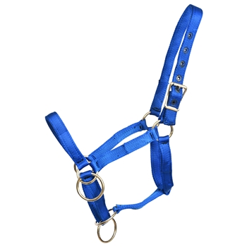 ****PHOTO SAMPLE*** $20 Royal Blue Nylon Pack Horse Halter - Cob Size