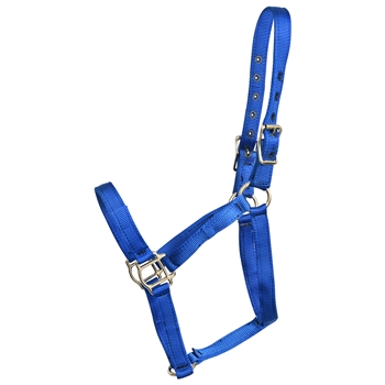 ****PHOTO SAMPLE*** $15 Royal Blue Nylon Halter - Horse Size