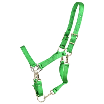 ****PHOTO SAMPLE*** $20 Green Nylon 5 Snap Convertible Grooming Halter - Horse Size