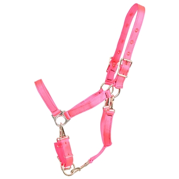 ****PHOTO SAMPLE*** $20 Hot Pink Nylon 5 Snap Convertible Grooming Halter - Horse Size