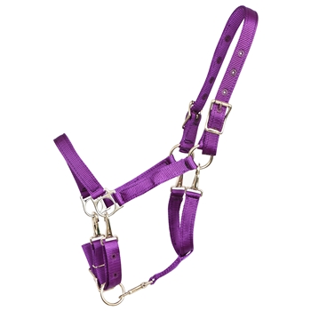 ****PHOTO SAMPLE*** $20 Purple Nylon 5 Snap Convertible Grooming Halter - Horse Size
