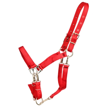 ****PHOTO SAMPLE*** $20 Red Nylon 5 Snap Convertible Grooming Halter - Horse Size