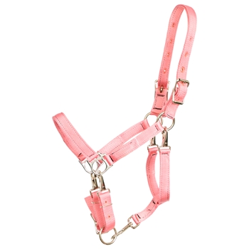 ****PHOTO SAMPLE*** $20 Soft Pink Nylon 5 Snap Convertible Grooming Halter - Horse Size