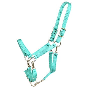 ****PHOTO SAMPLE*** $20 Turquoise Nylon 5 Snap Convertible Grooming Halter - Horse Size