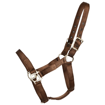 ****PHOTO SAMPLE*** $10 Brown Nylon Halter - Horse Size