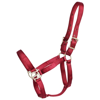 ****PHOTO SAMPLE*** $10 Burgundy Nylon Halter - Horse Size