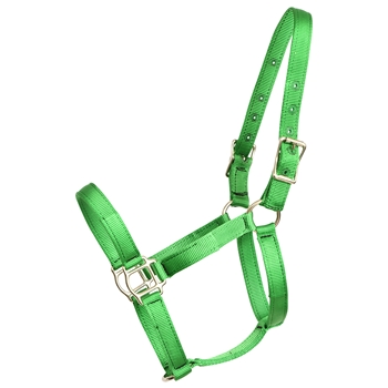 ****PHOTO SAMPLE*** $10 Lime Green Nylon Halter - Horse Size