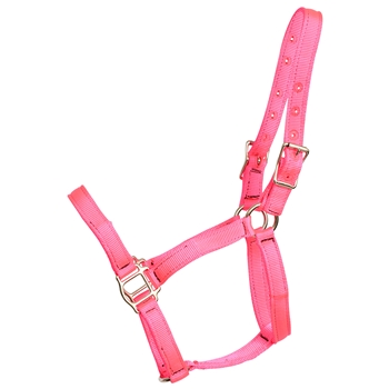 ****PHOTO SAMPLE*** $10 Hot Pink Nylon Halter - Horse Size