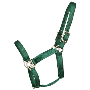 ****PHOTO SAMPLE*** $10 Hunter Green Nylon Halter - Horse Size