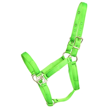 ****PHOTO SAMPLE*** $10 Lime Green Nylon Halter - Horse Size