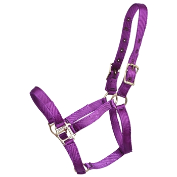 ****PHOTO SAMPLE*** $10 Purple Nylon Halter - Horse Size