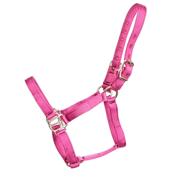 ****PHOTO SAMPLE*** $10 Raspberry Pink Nylon Halter - Horse Size