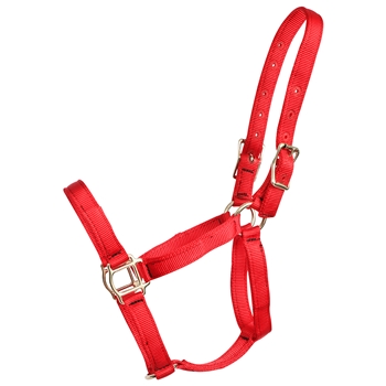 ****PHOTO SAMPLE*** $10 Red Nylon Halter - Horse Size