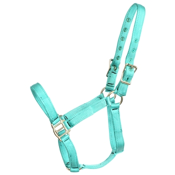 ****PHOTO SAMPLE*** $10 Turquoise Nylon Halter - Horse Size