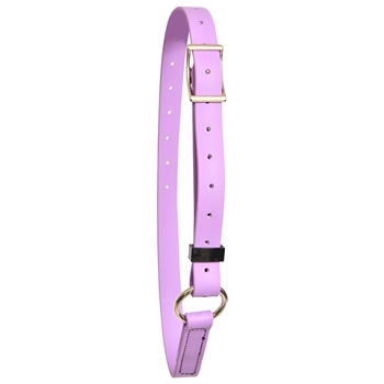 ****PHOTO SAMPLE*** $10 Orchid/Amethyst Beta Biothane Adjustable Neck Collar - Horse Size