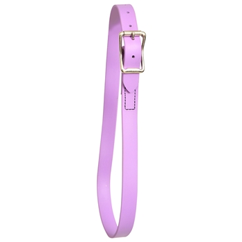 ****PHOTO SAMPLE*** $10 Orchid/Amethyst Beta Biothane Neck Collar - Horse Size