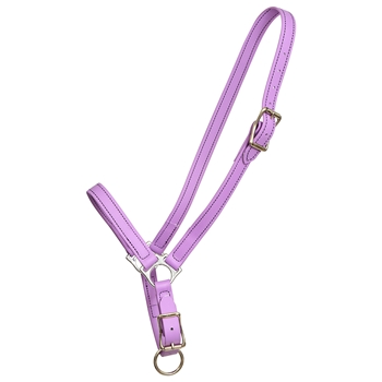 ****PHOTO SAMPLE*** $15 Orchid/Amethyst Beta Biothane Grooming Halter - Horse Size