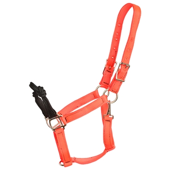 ****PHOTO SAMPLE*** $20 Orange Nylon Rope Combo Halter - Horse Size