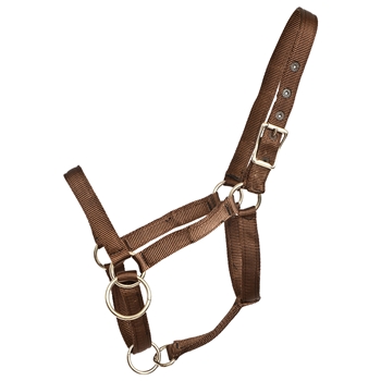 ****PHOTO SAMPLE*** $15 Brown Nylon Pack Horse Halter - Horse Size