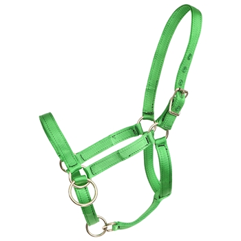 ****PHOTO SAMPLE*** $15 Green Nylon Pack Horse Halter - Horse Size