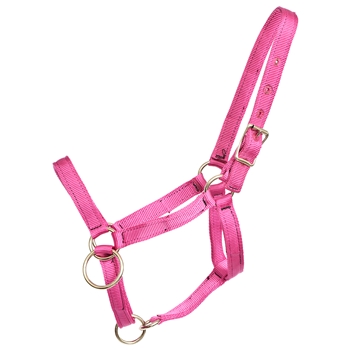 ****PHOTO SAMPLE*** $15 Raspberry Pink Nylon Pack Horse Halter - Horse Size