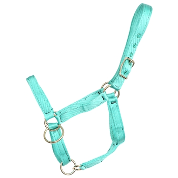 ****PHOTO SAMPLE*** $15 Turquoise Nylon Pack Horse Halter - Horse Size