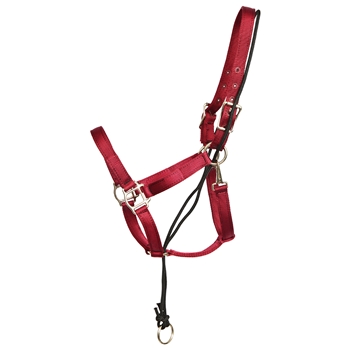 ****PHOTO SAMPLE*** $15 Burgundy Nylon No Pullback Halter - Horse Size