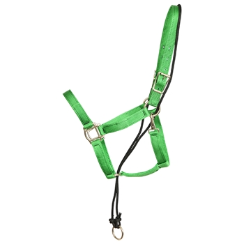****PHOTO SAMPLE*** $15 Green Nylon No Pullback Halter - Horse Size