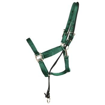 ****PHOTO SAMPLE*** $15 Hunter Green Nylon No Pullback Halter - Horse Size