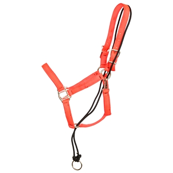 ****PHOTO SAMPLE*** $15 Orange Nylon No Pullback Halter - Horse Size