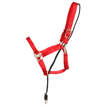 ****PHOTO SAMPLE*** $15 Red Nylon No Pullback Halter - Horse Size
