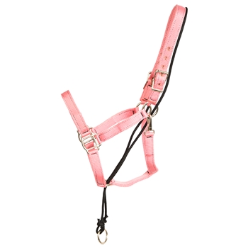 ****PHOTO SAMPLE*** $15 Soft Pink Nylon No Pullback Halter - Horse Size