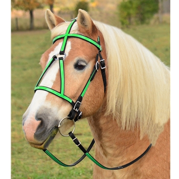 MEDIEVAL BAROQUE WAR or PARADE BRIDLE with reins Beta Biothane