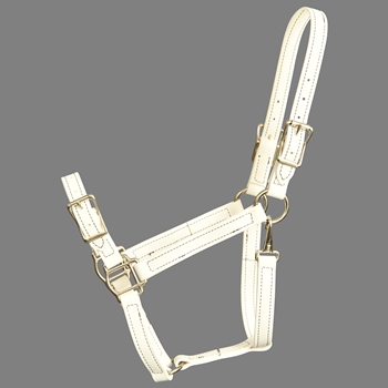 ****PHOTO SAMPLE*** $20 White Beta Biothane Buckle Nose Halter - Horse Size