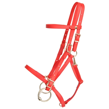 ****PHOTO SAMPLE*** $30 Red Beta Biothane Quick Change Halter Bridle Headstall - Horse Size